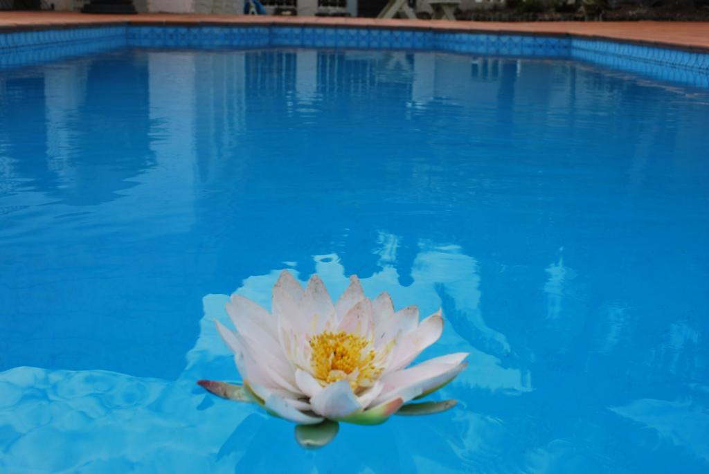 Casa Bella Motel Paihia Luaran gambar